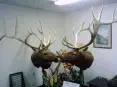 avatar_50708.webp