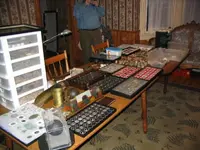 Table4a.webp