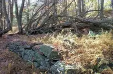 secret spot4.webp