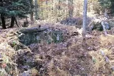 secret spot 5.webp