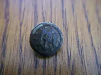 small eagle.webp