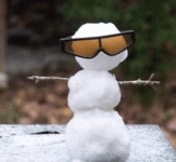 01 .gif