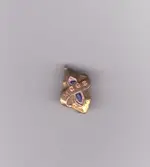 MCGS Pin.webp