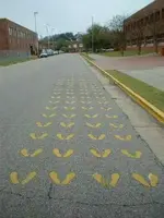 Foot prints.webp