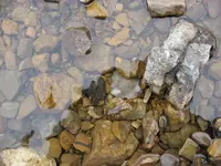 017.webp