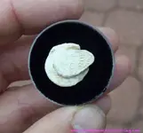 250_seal_2.webp