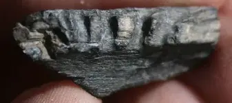 nailwork7.webp