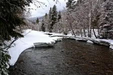 3-8c.webp