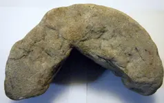 DSCF5389.webp