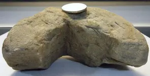 DSCF5391.webp