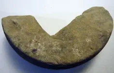 DSCF5394.webp