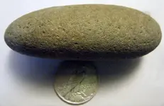 DSCF5398.webp