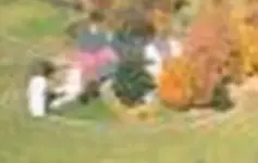 1000\' zoom.webp