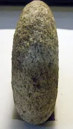 DSCF5405.webp