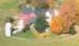 1000\' zoom2.webp