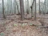 ruins 2.webp
