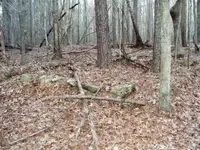 ruins 2a.webp