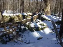 jan 23 cellar holes with sniffy 017 [].webp