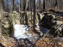 jan 23 cellar holes with sniffy 009 [].webp