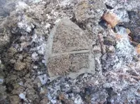 jan 23 cellar holes with sniffy 005 [].webp
