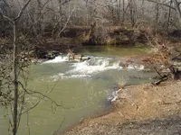Another Nature Walk 003.webp