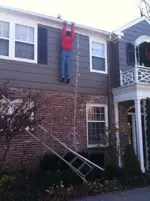 xmas lights.webp
