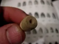 unknown bullet.webp