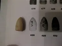 unknown bullet..webp