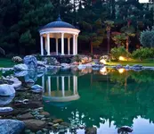 Pool.webp