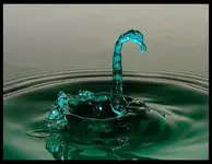 Standing water.webp