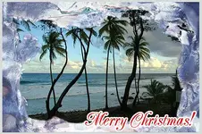 beach.webp