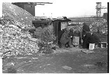homeless-with-christmas-tree.webp