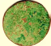 Roman Emp Coin back002.webp