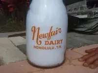 newfair.webp