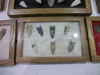 Ripley Pics033.webp