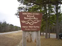 Horse Their Springs 017.webp