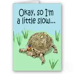 turtle_belated_late_happy_birthday_card-p137944842880267754tdtq_400.webp