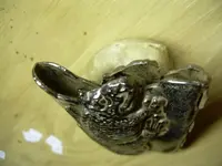 DSCN2895.webp