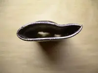 DSCN2914.webp