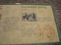 Horse Their Springs 018.webp