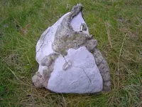 Herkimer Diamond Hunt 015.webp