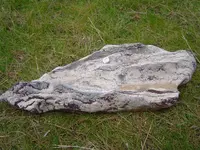 Herkimer Diamond Hunt 014.webp