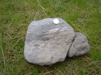 Herkimer Diamond Hunt 013.webp