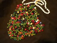 DSCN0148.webp