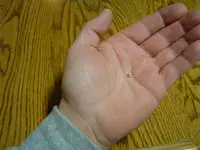 Herkimer Diamond Hunt 016.webp
