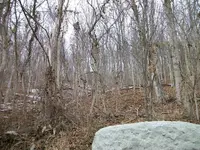 Ripley Pics050.webp