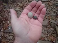 Herkimer Diamond Hunt 006.webp