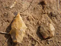 DSCN1699-1.webp