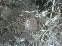 IMG00038-20100307-1325[1].webp
