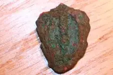 COPPERBRONZE MEDAL mini1.webp